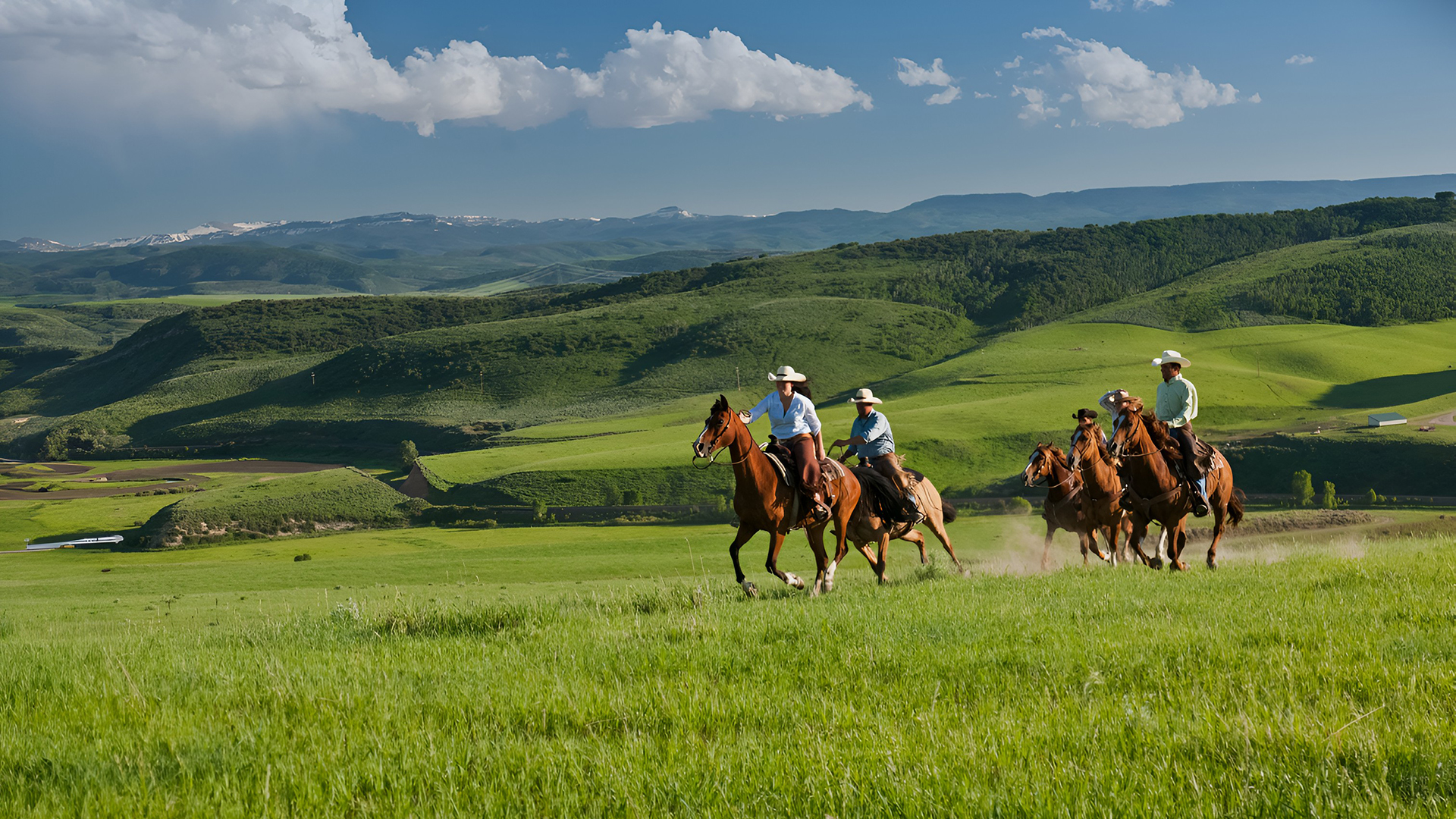 saddleback ranch