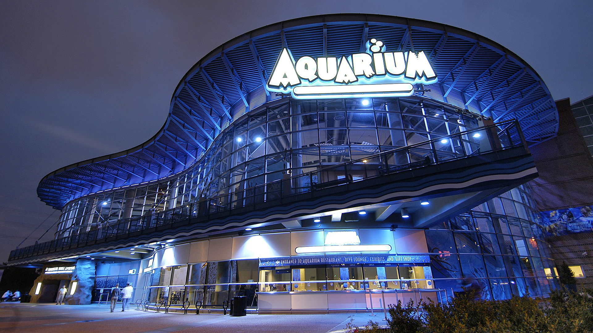 downtown aquarium
