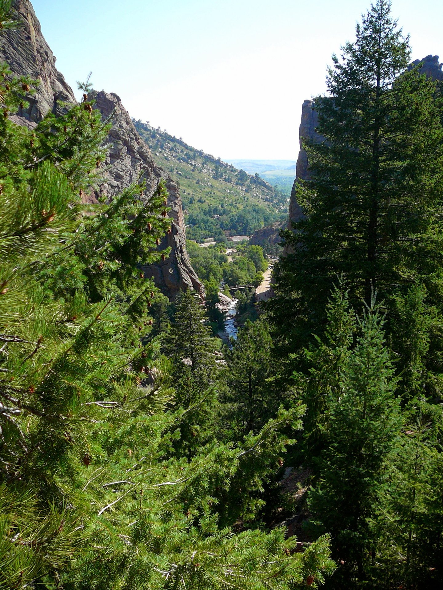 Douglas fir and canyon walls in Eldorado Canyon State Park