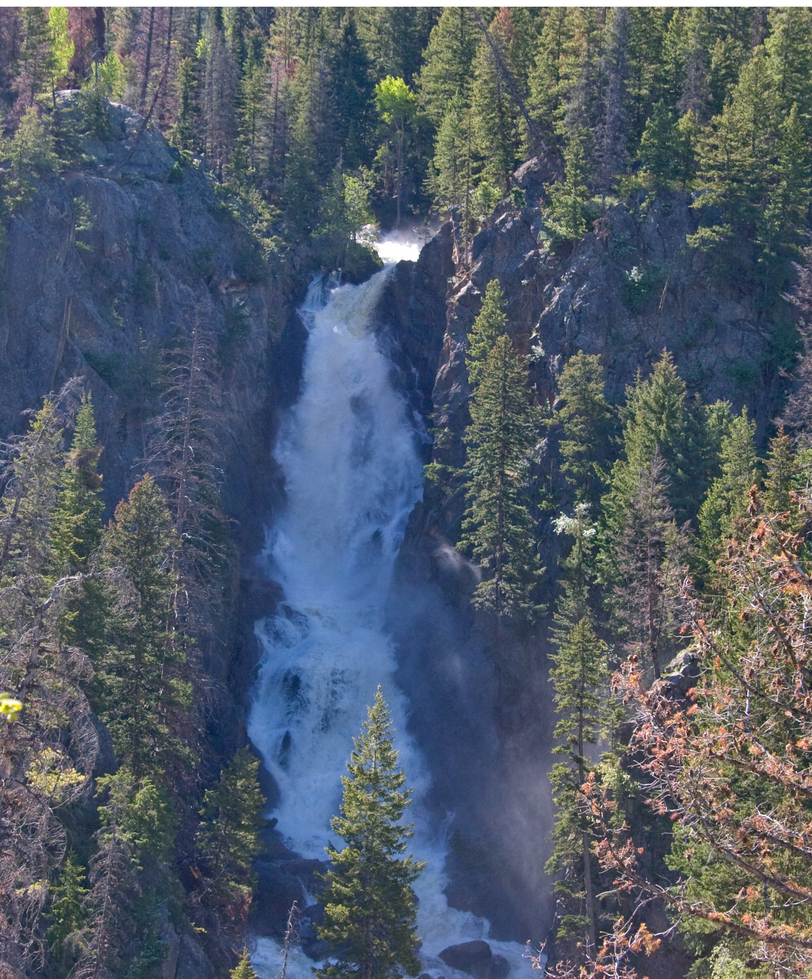 Fish Creek Falls, Colorado