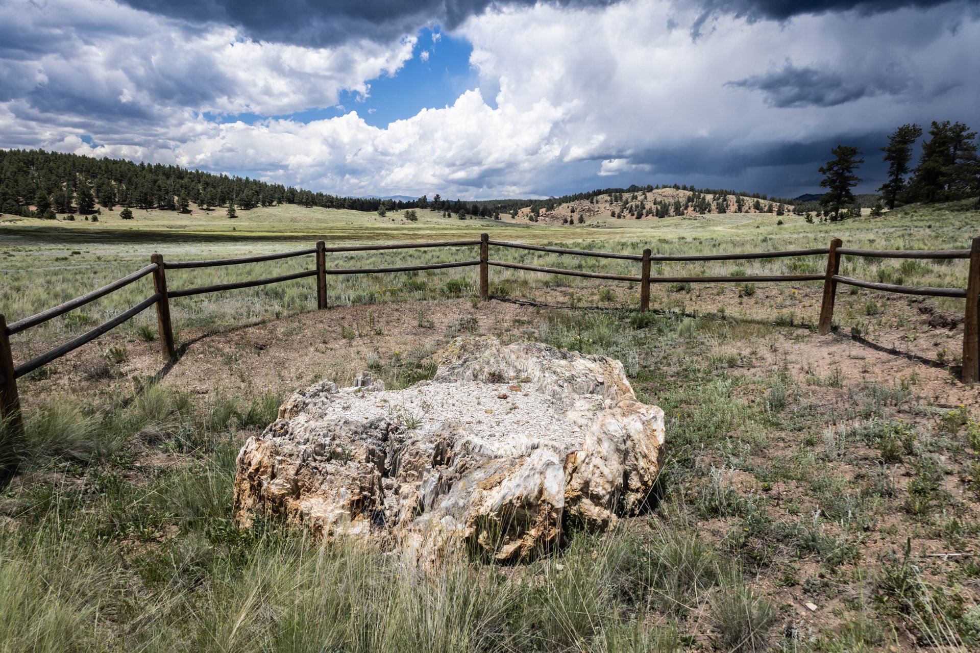 Florissant Fossil Beds National Monument – Florissant Fossil Beds National Monument. Colorado. Fossil. Flower. Cloud. Petrified Wood. Tree. Col