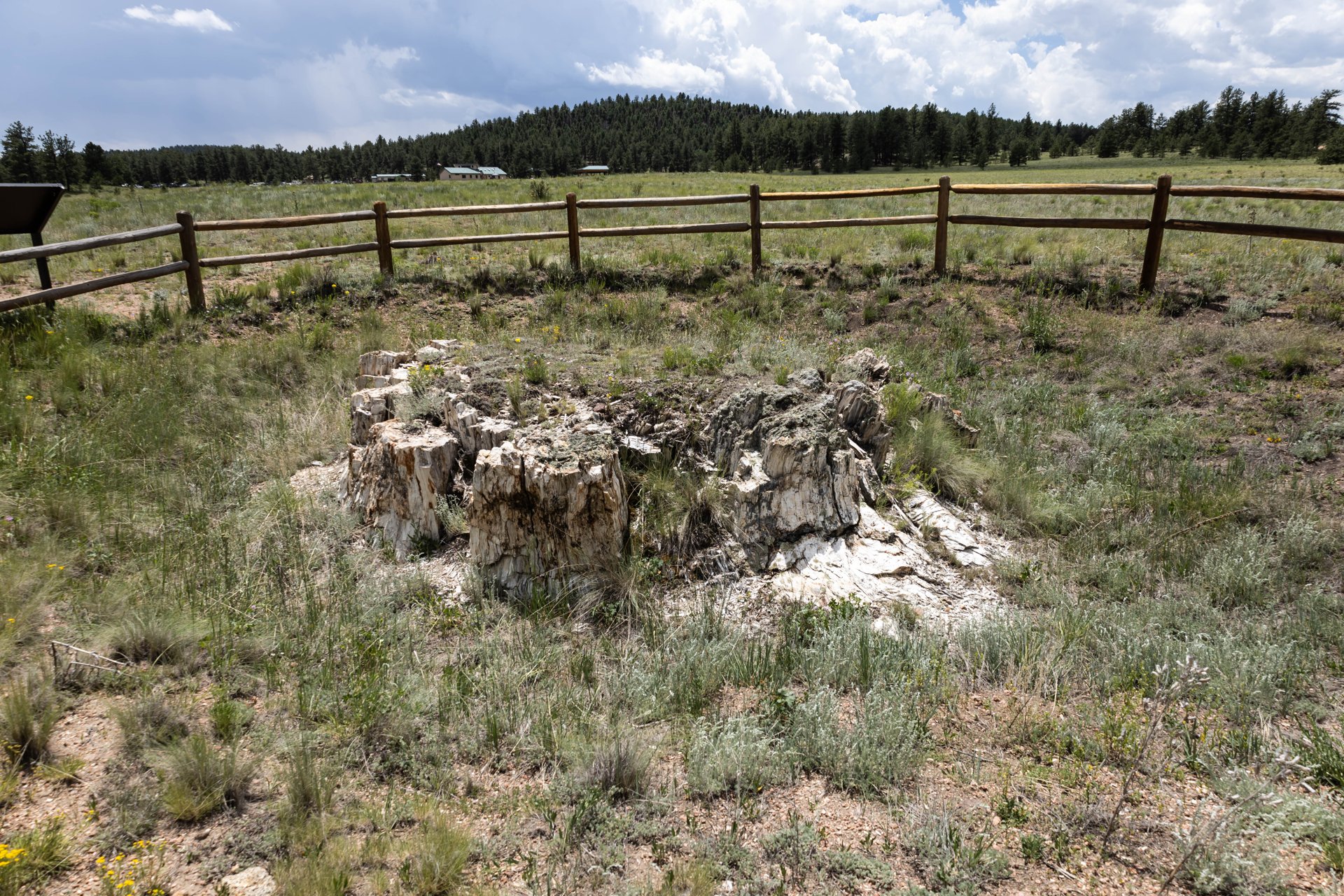 Florissant Fossil Beds National Monument – Florissant Fossil Beds National Monument. Colorado. Fossil. Flower. Cloud. Petrified Wood. Tree. Col