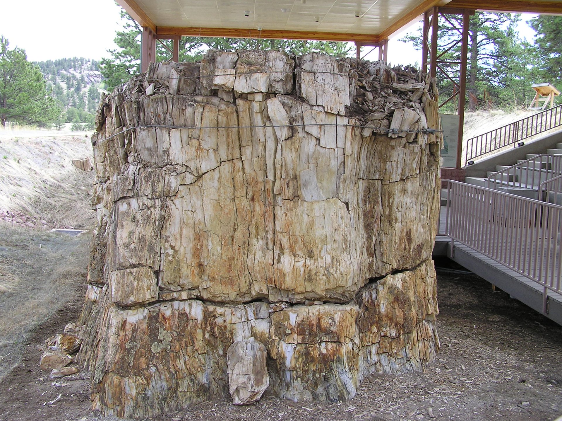 Florissant Fossil Beds National Monument – Location Florissant Fossil Beds National Monument Description Beneath a grassy mountain valley in ce