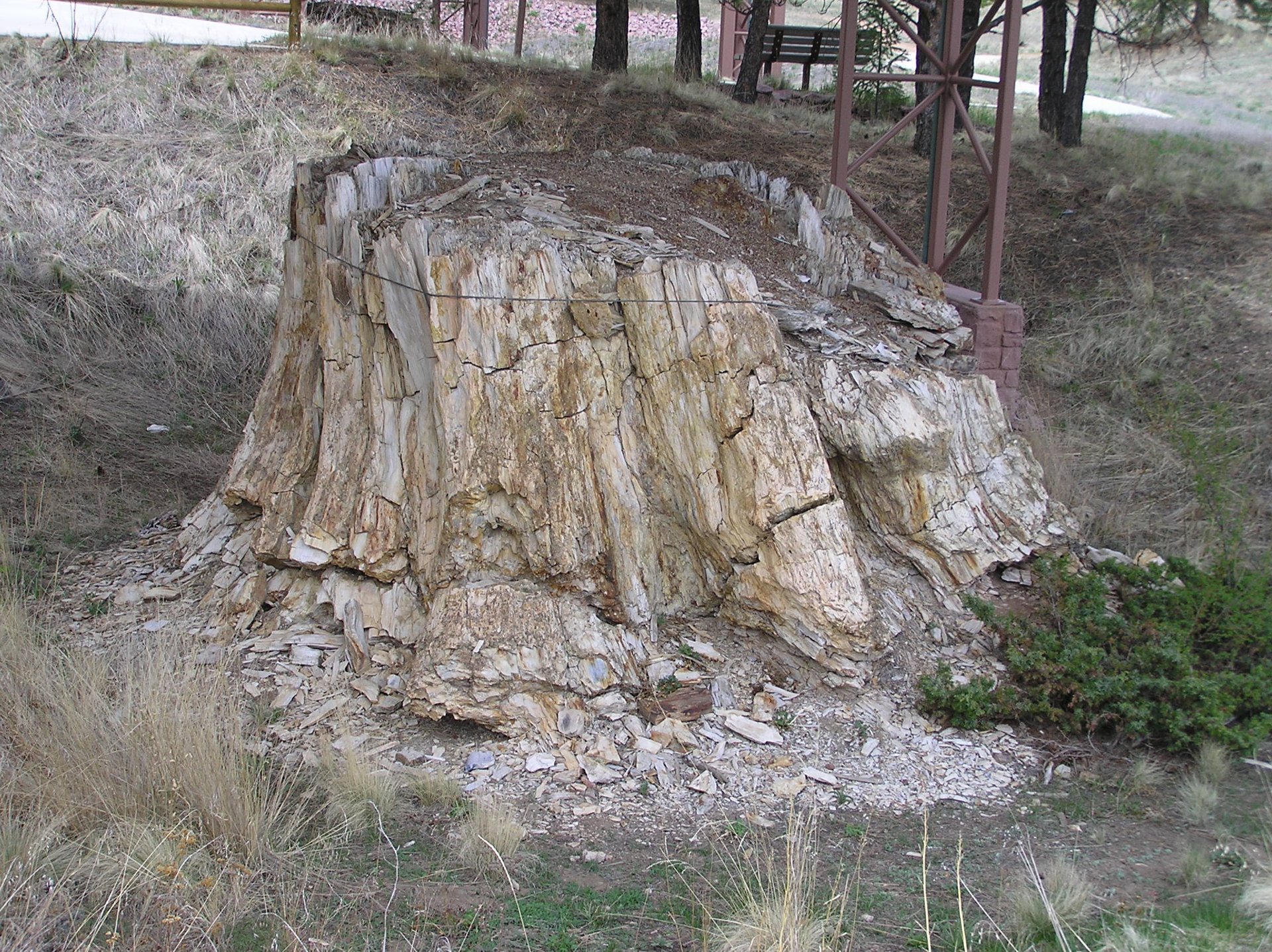 Florissant Fossil Beds National Monument – Location Florissant Fossil Beds National Monument Description Beneath a grassy mountain valley in ce