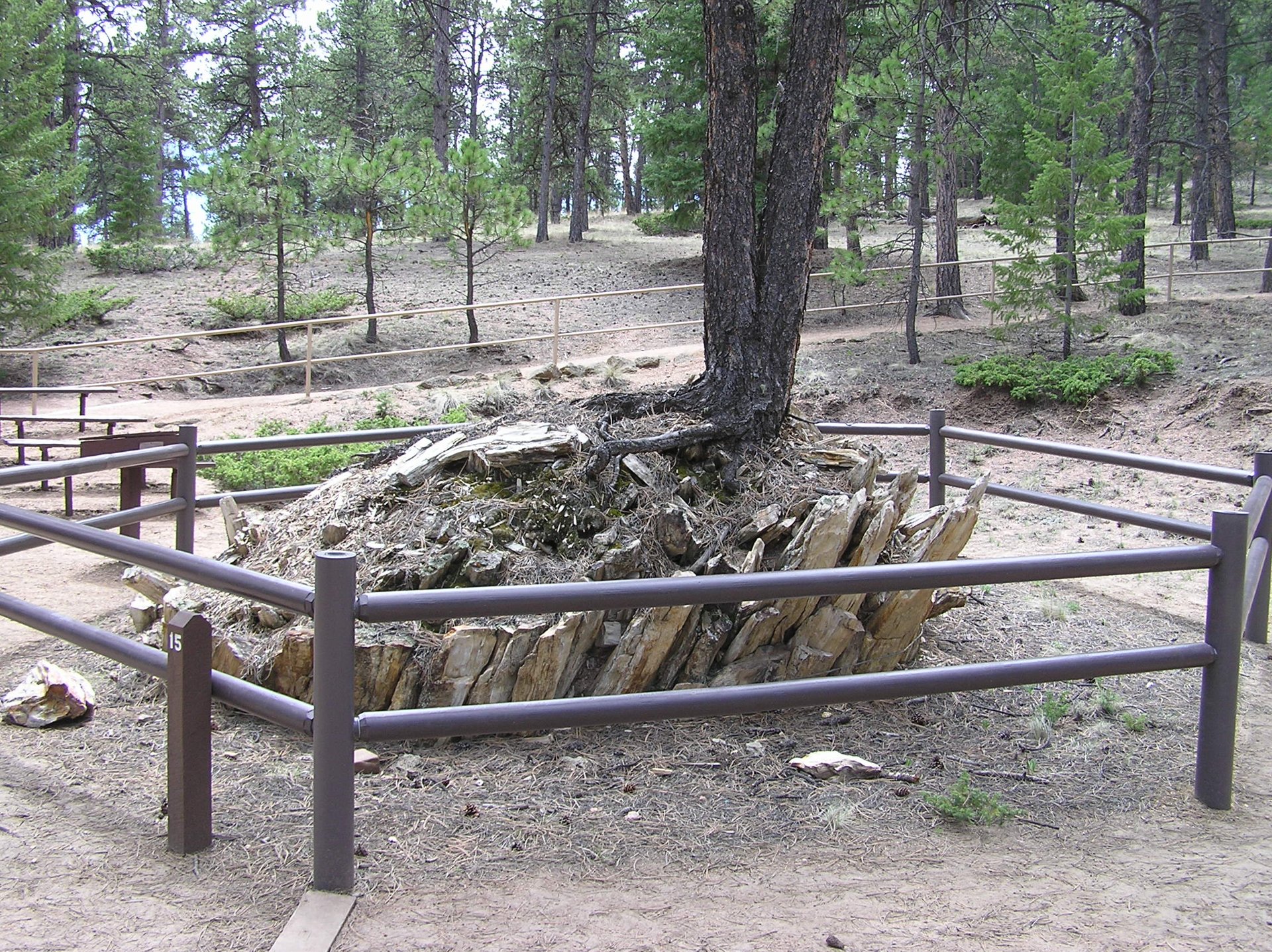 Florissant Fossil Beds National Monument – Location Florissant Fossil Beds National Monument Description Beneath a grassy mountain valley in ce