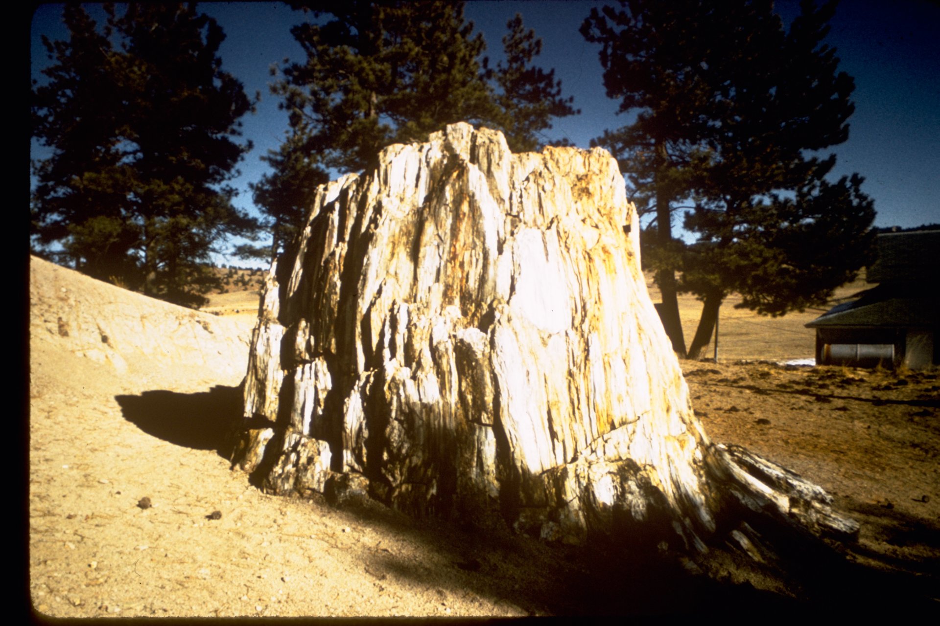 Florissant Fossil Beds National Monument – Location Florissant Fossil Beds National Monument Description Beneath a grassy mountain valley in ce