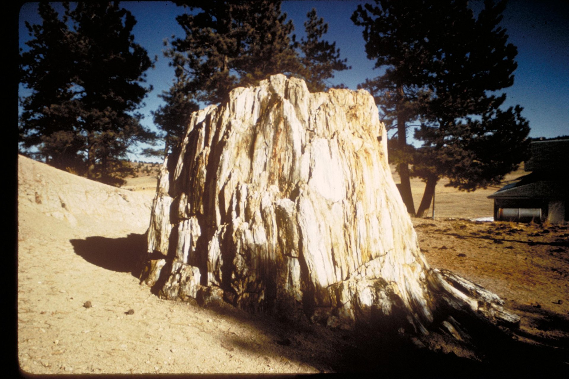 Florissant Fossil Beds National Monument – Petrified sequoia tree stumps A beautiful mountain valley just west of Pikes Peak holds spectacular