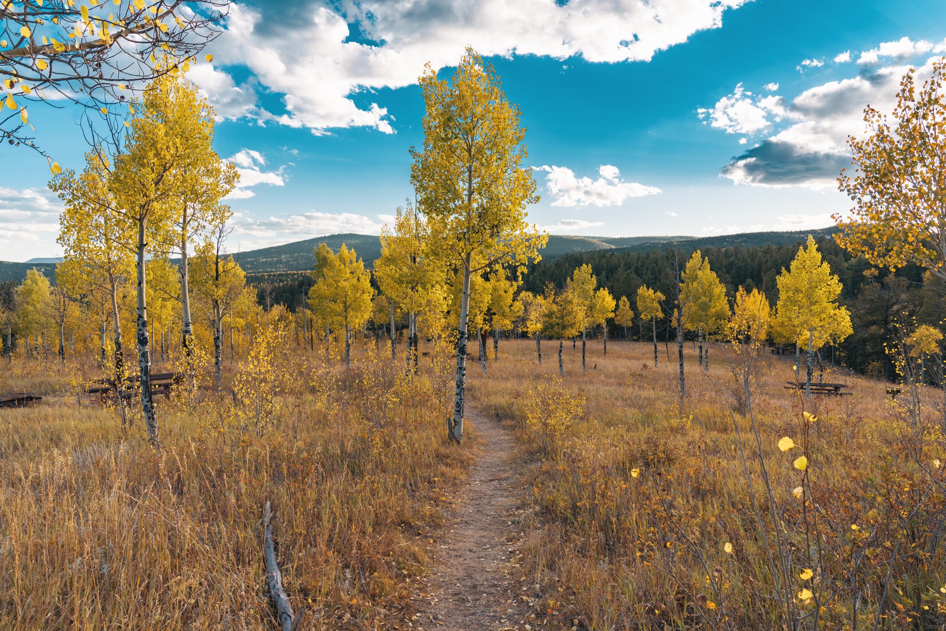 Golden Gate Canyon State Park, Colorado