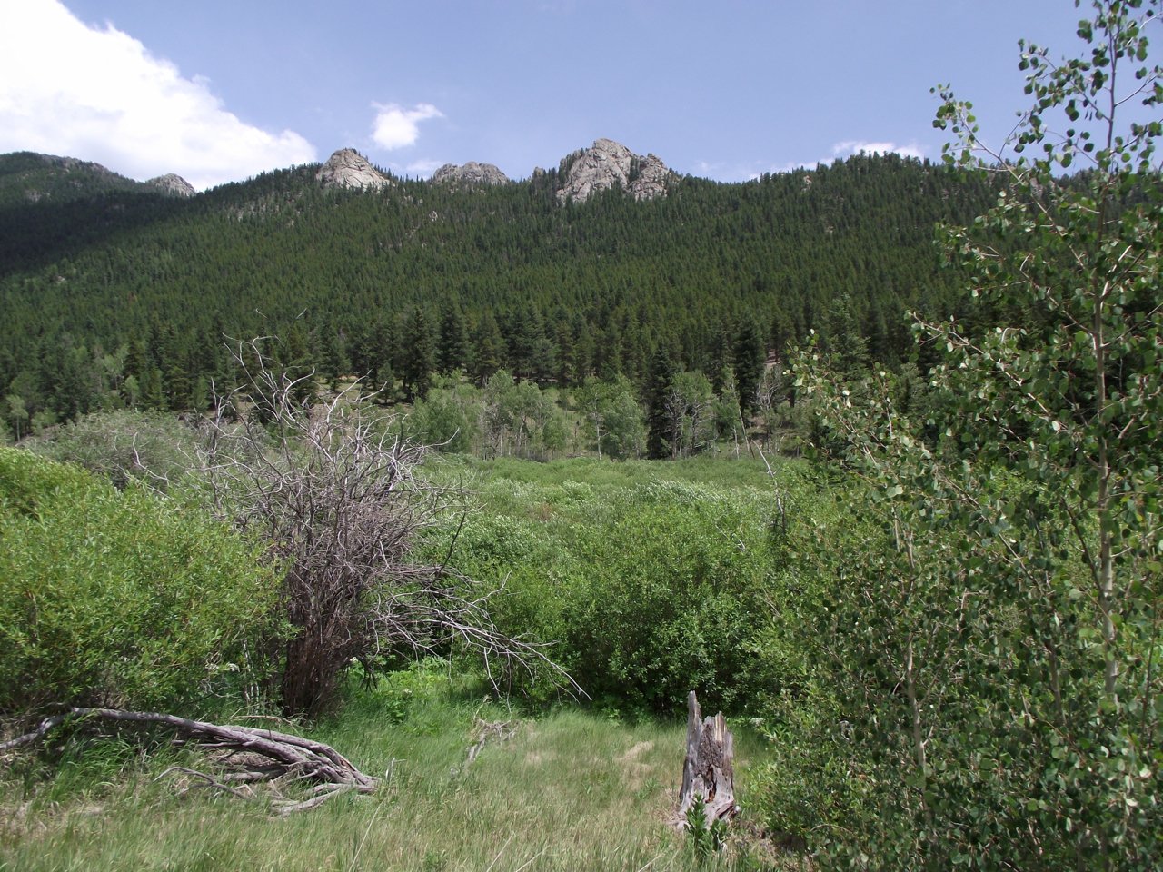 Rock formations on Tremont Mountain in Golden Gate Canyon State Park