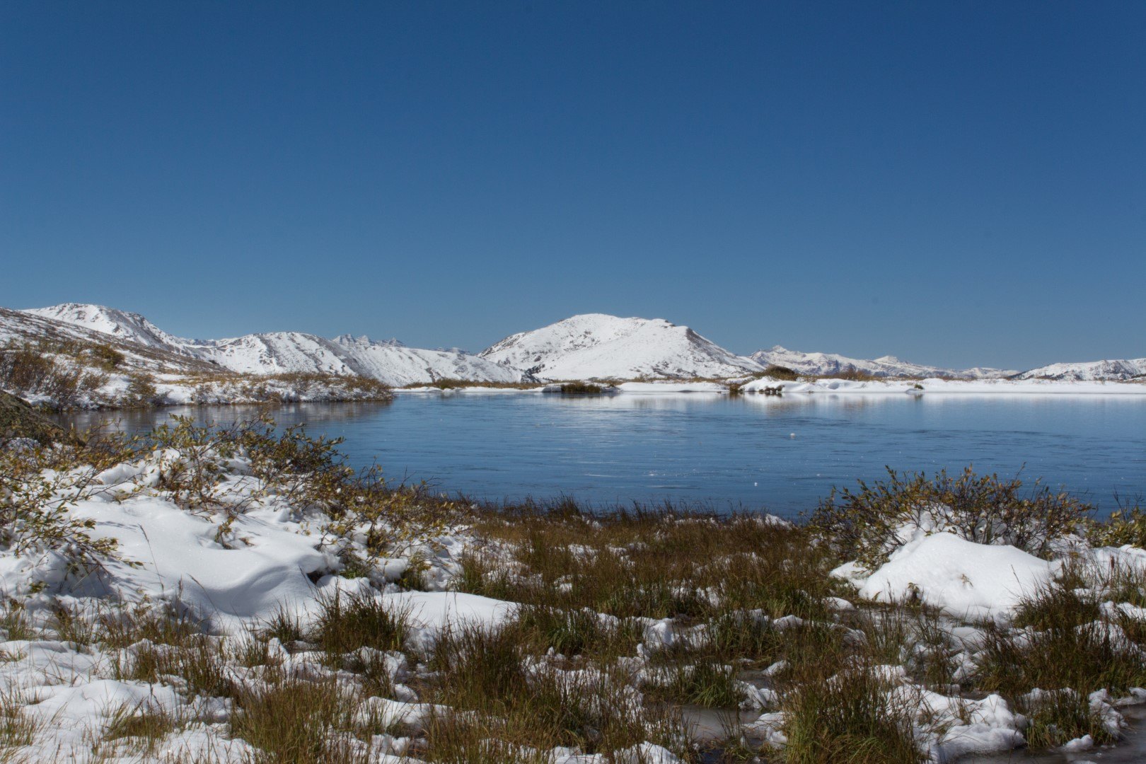 Alpine lake and snowfields near the top of Independence Pass