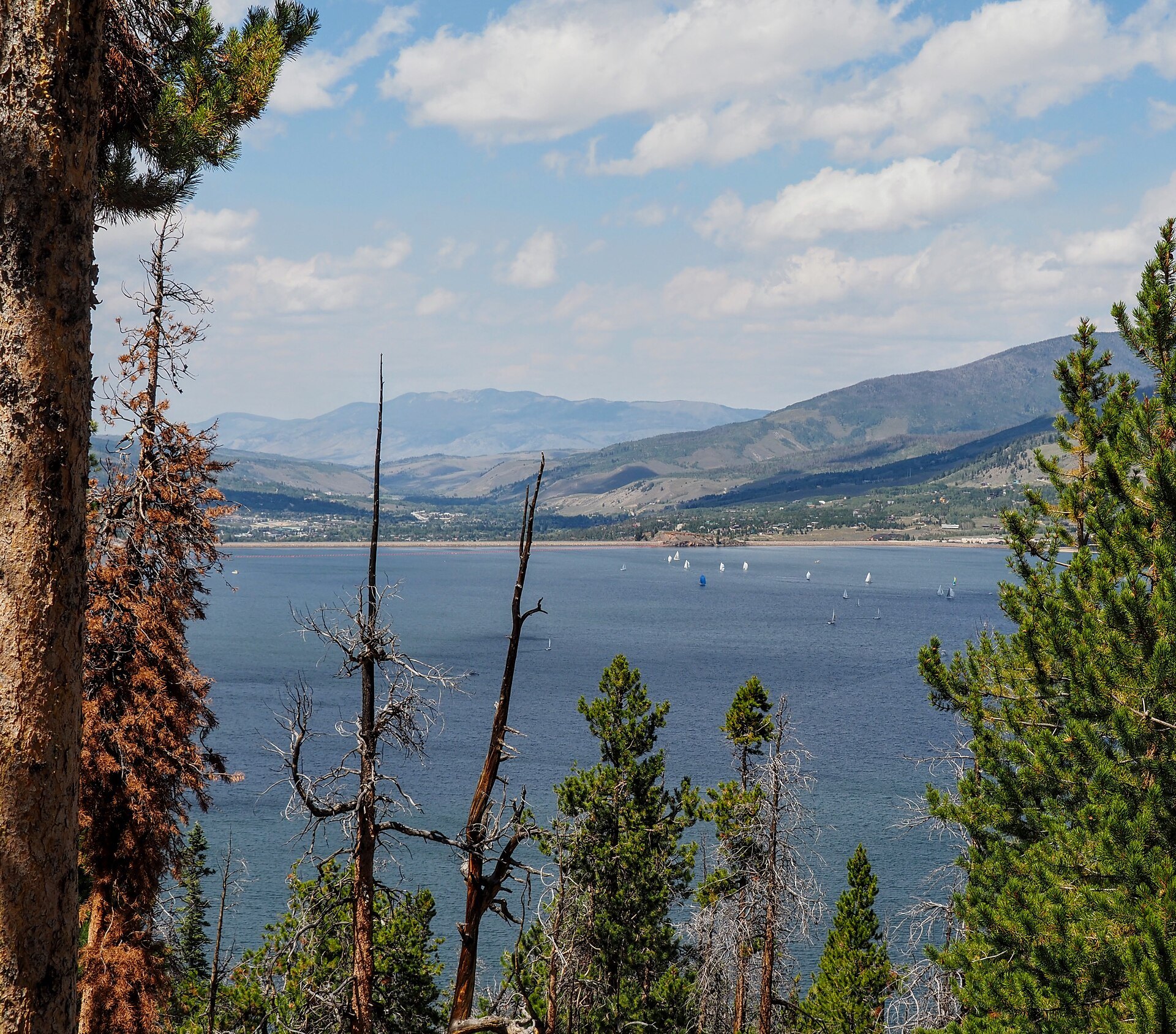 Lake Dillon and Dillon Dam framed by pines