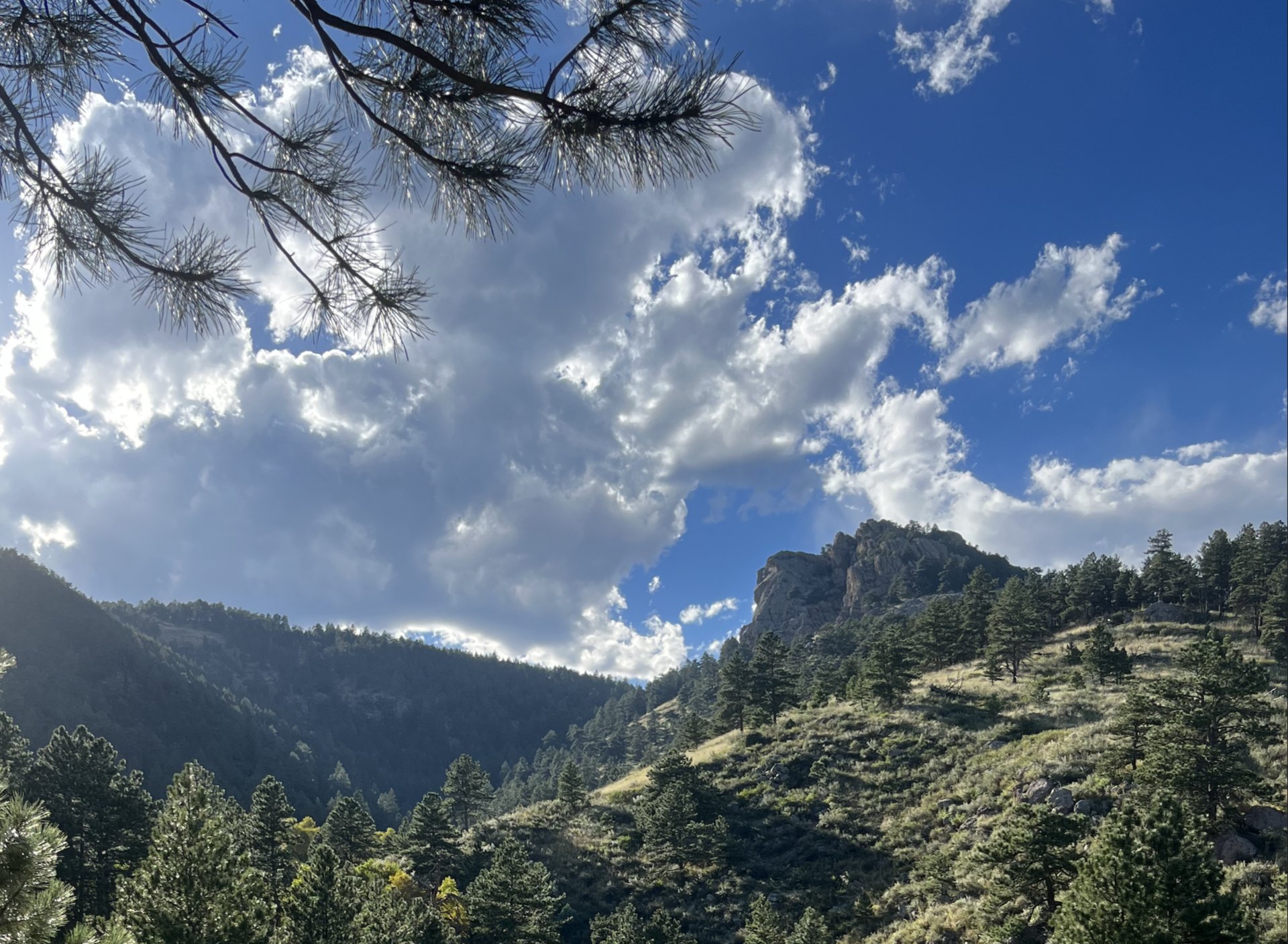 Lory State Park canyon with Arthur's Rock rising above ponderosa pines, Colorado