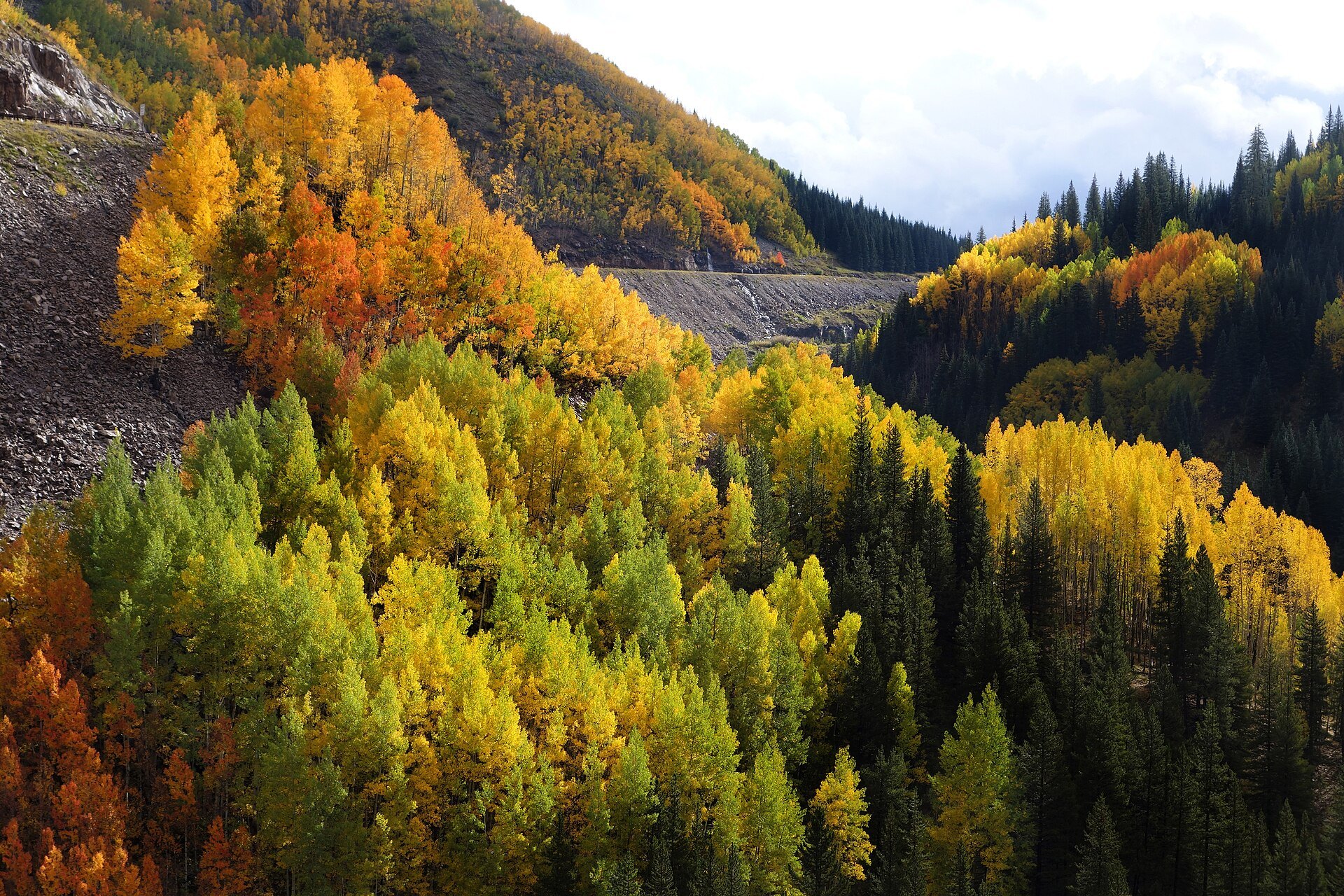 Golden fall aspens along the Million Dollar Highway in Colorado