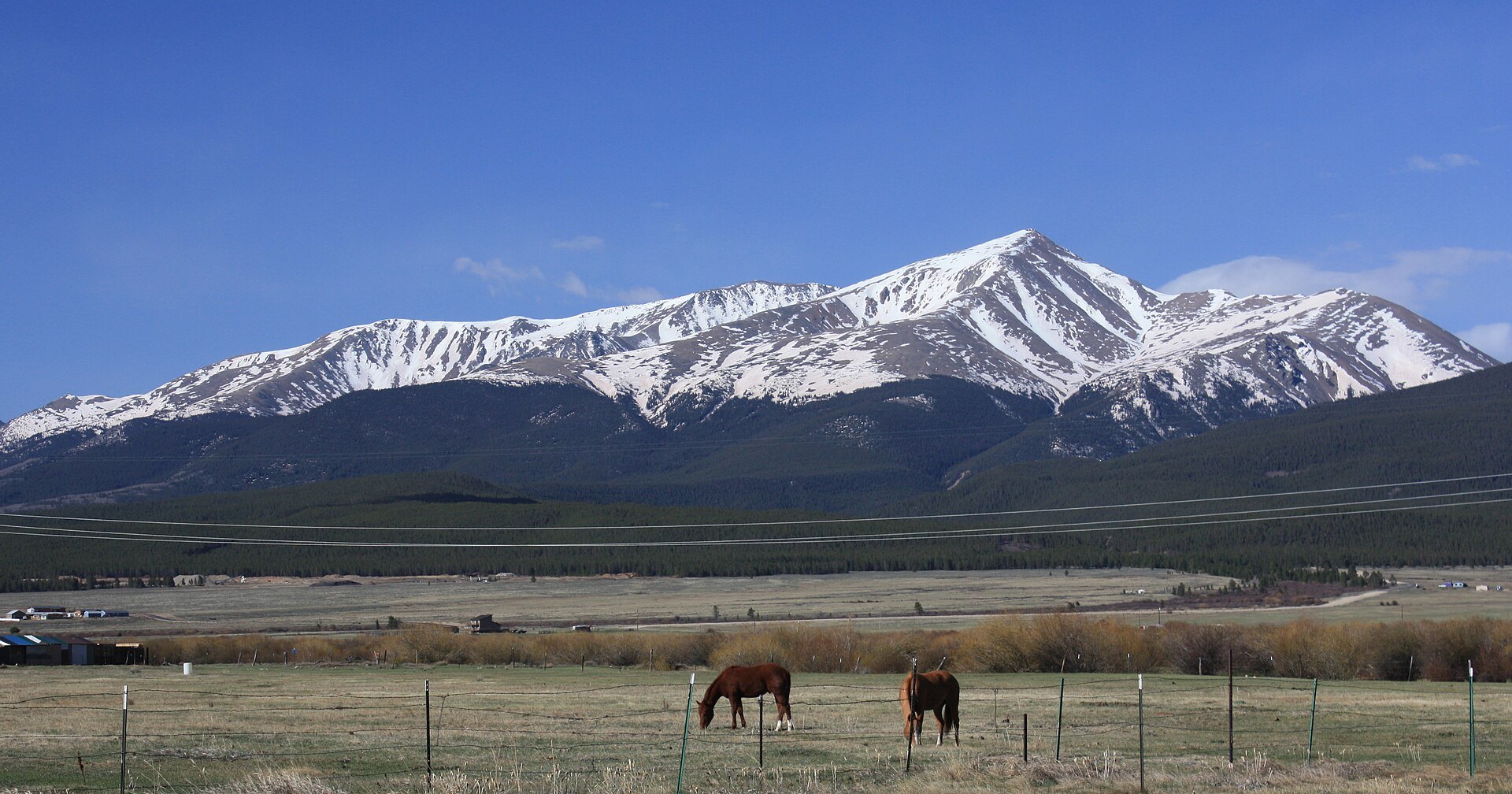 Snowy Mount Elbert with horses grazing near Leadville