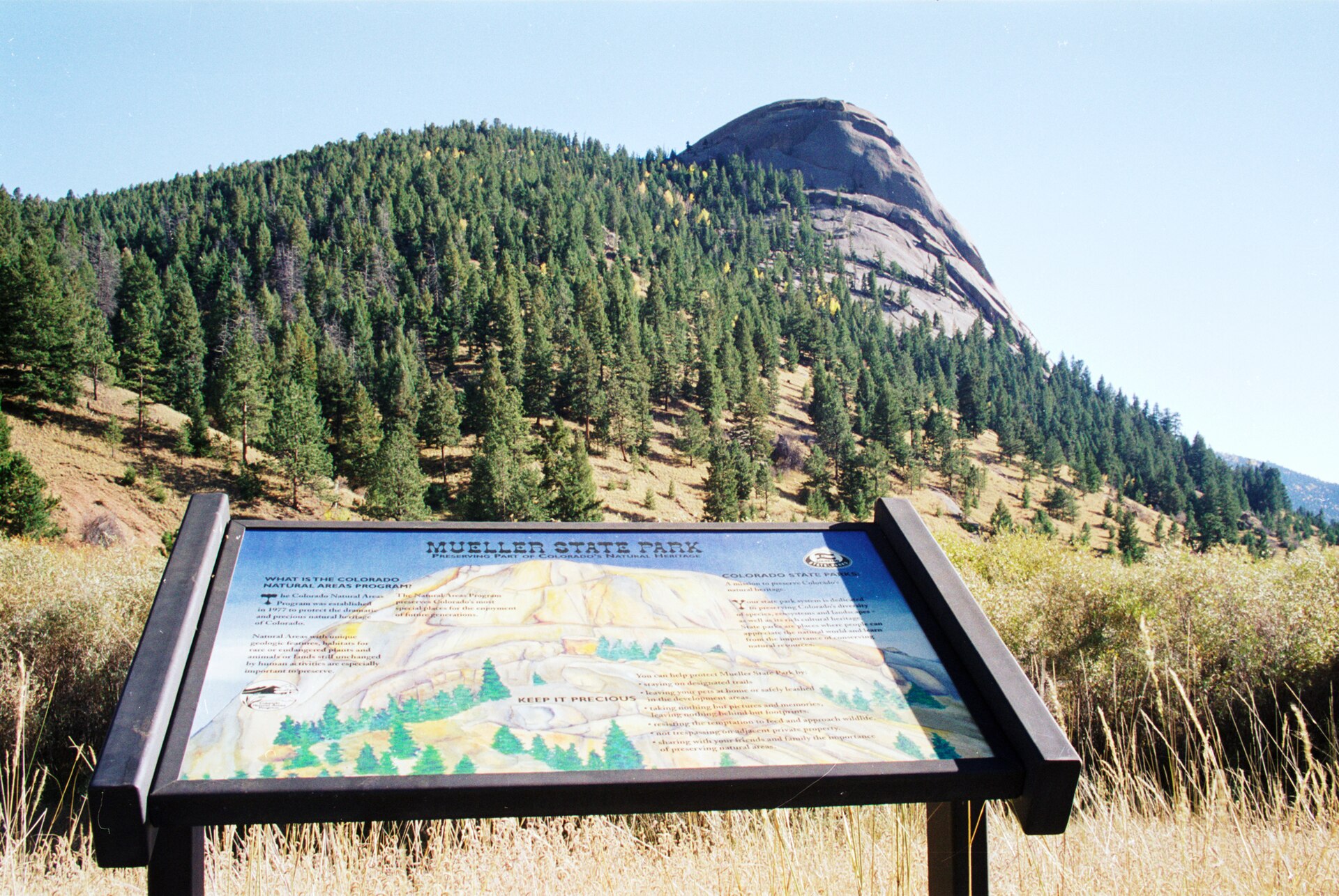 Mueller State Park, Colorado