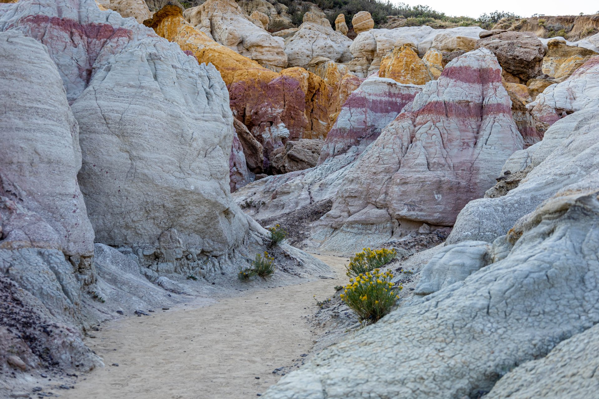 Paint Mines Interpretive Park – Sunrise at the Calhan Paint Mines. Calhan, Colorado, Rocks, Sky, Plants, Rabbits.