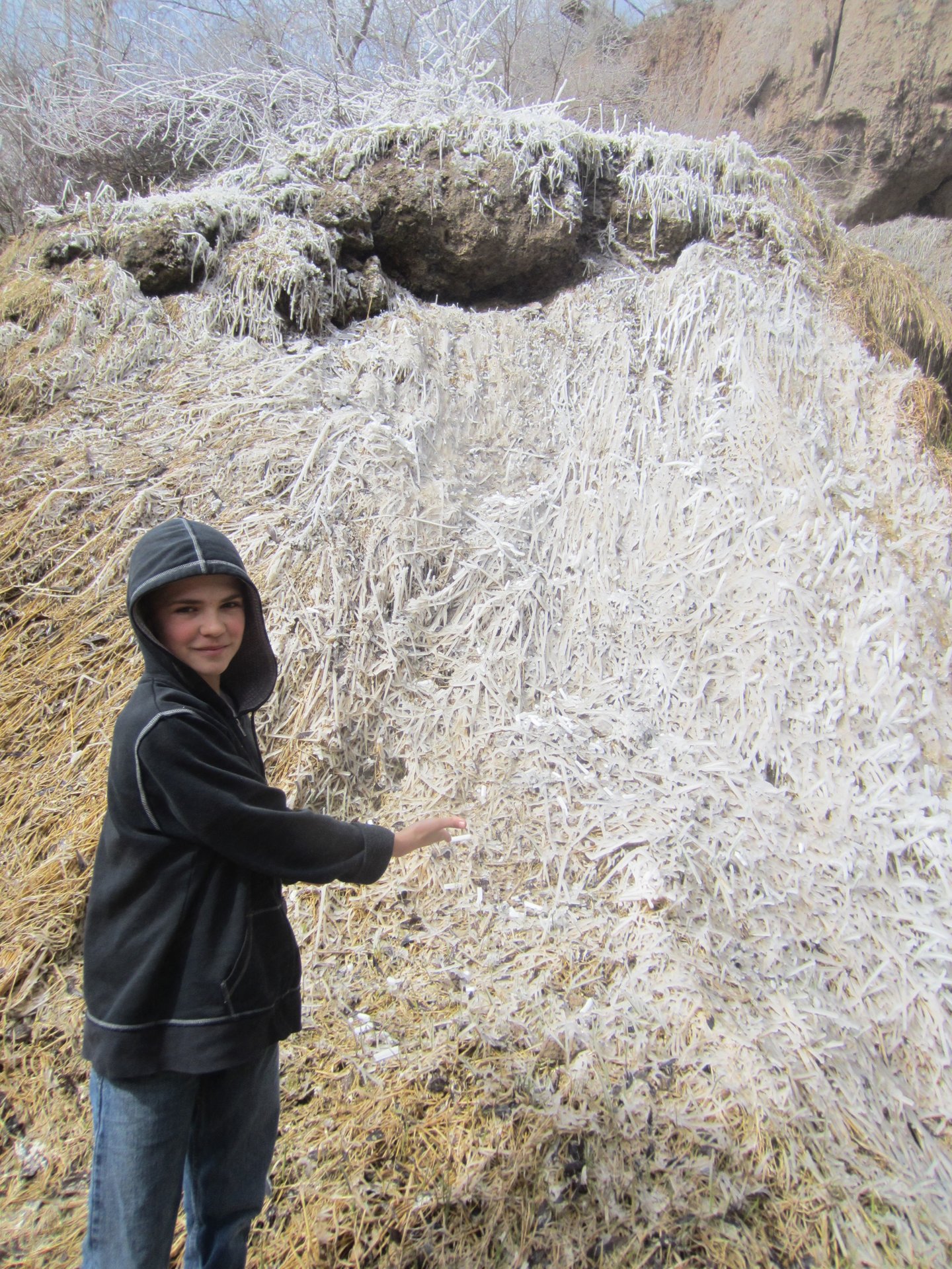 Rifle Falls State Park – Vegetation frozen in fingers due to the misty waters from Rifle Falls
