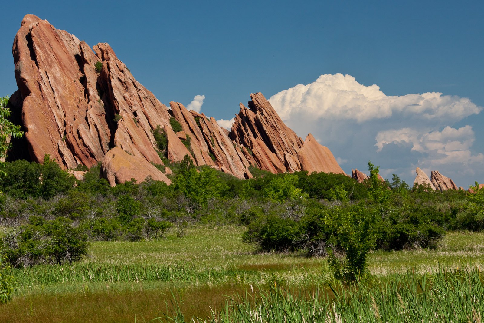 Fountain Valley Trail beneath red rock fins at Roxborough State Park