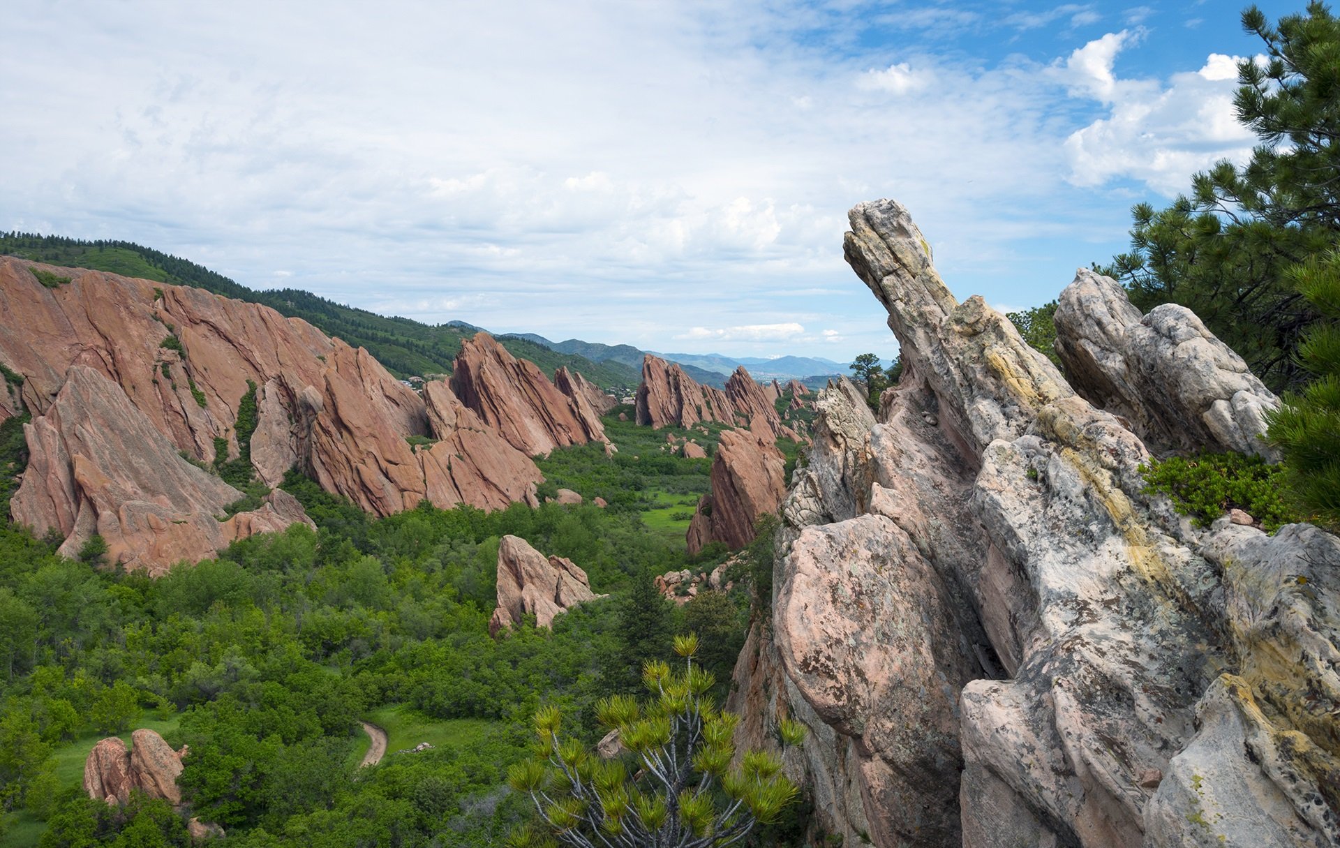 Tilted sandstone fins and white rock at Roxborough State Park